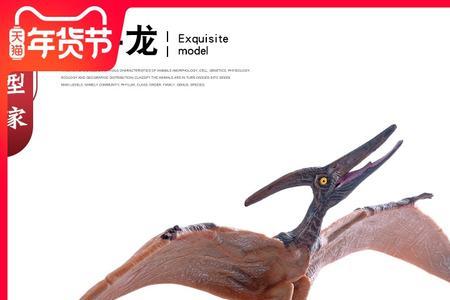 翼龙几岁成年
