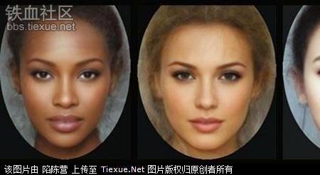 科米人是白人吗