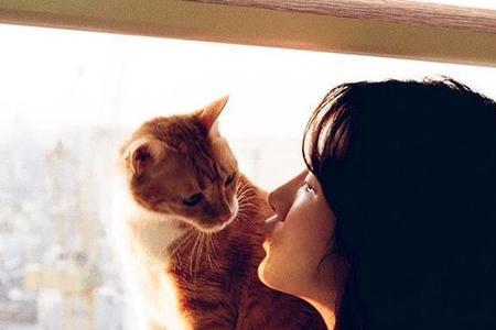人和猫是什么界