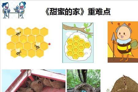 蚂蚁窝有几个房间