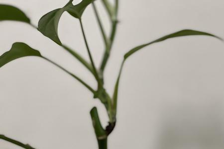 悠然和怡然用法的区别