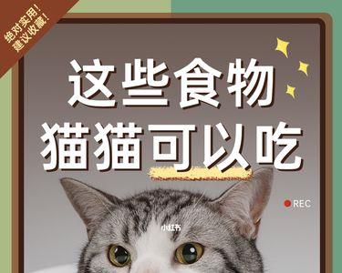 金荔枝猫可以吃吗