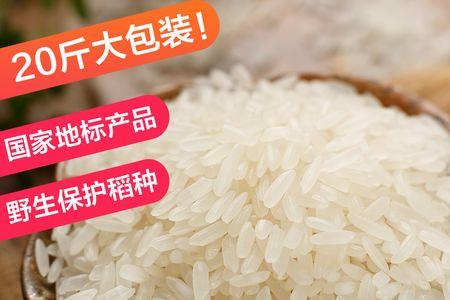 丝苗米和贡米哪个好吃