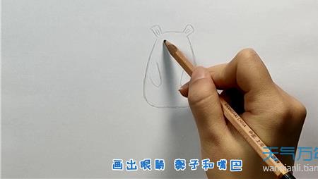 熊的笔顺笔画顺序