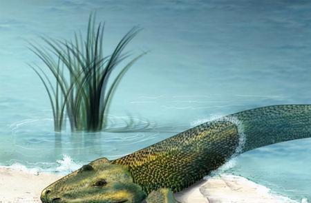 含氧量高生物为什么会变大