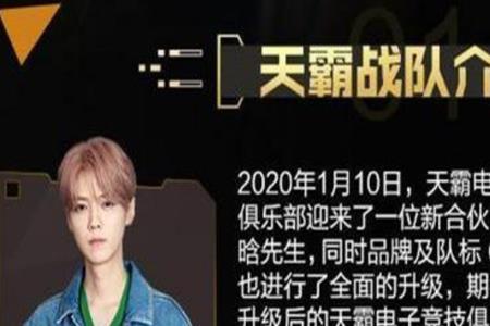 陈赫天霸战队有多少人