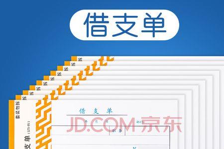 借支和借到一个意思吗