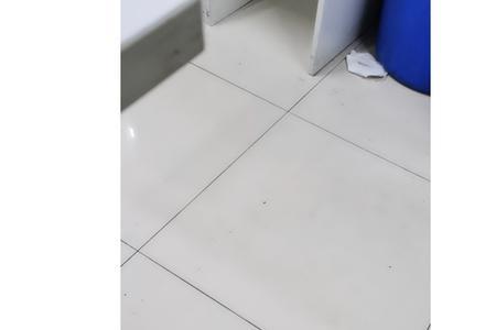 红双喜eg12和402区别