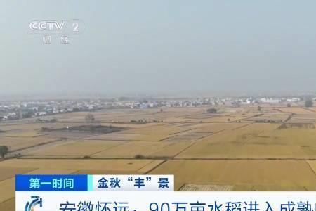90万亩相当于多大