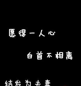 愿得一人心什么时候发行的