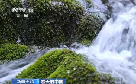 万物葱茏还是万木葱茏