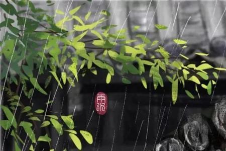读书听雨的诗句