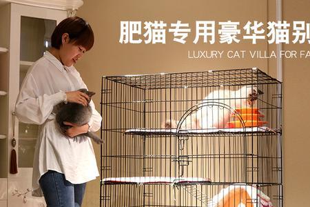 猫笼买什么样的比较好