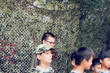 形容士兵站姿的成语