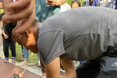 鳄雀鳝有什么用