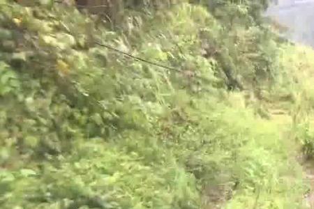 新手开山路一般开多少码