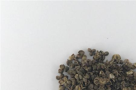赤霉酸在花椒上的应用