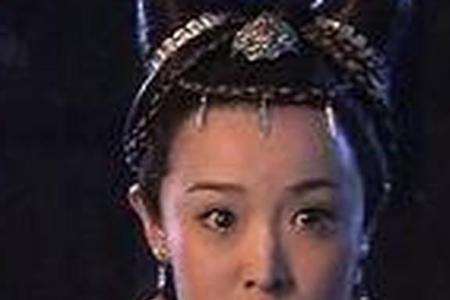 神探狄仁杰有几个侄女