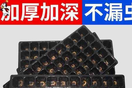蛋白虫化蛹需要注意哪些