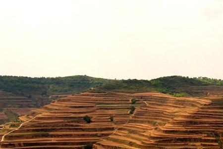 山坡沟壑纵横是怎样形成的