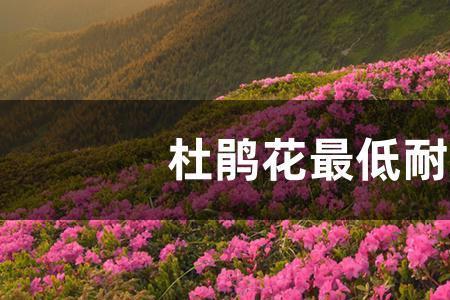 三角耐寒多少度