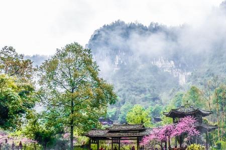 桃花源主题歌