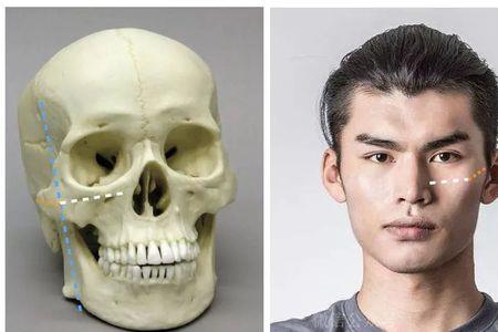 亚洲人头骨和欧洲人的不同