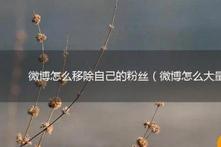 移除粉丝对账号有影响吗