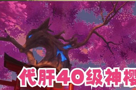 神樱树升到50级有多少原石