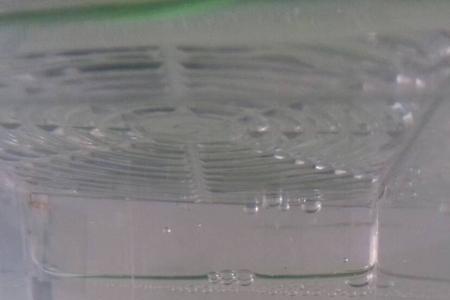 鱼缸里放盐能去氯气吗