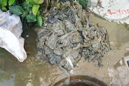 新建小区为什么取消化粪池