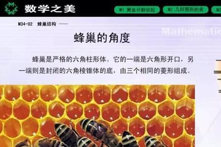 蜂房与蜜蜂巢脾区别