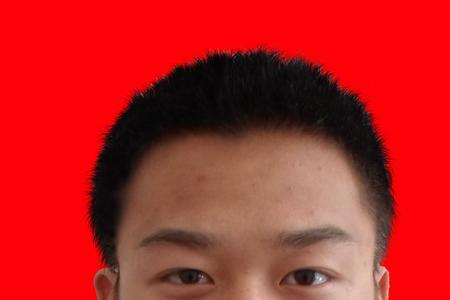 一寸平版照片是什么意思