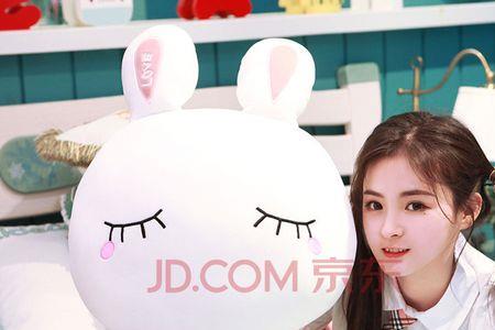 男生送女生小白兔是什么意思