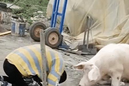 什么地求饶的成语