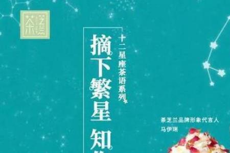 she代言的奶茶
