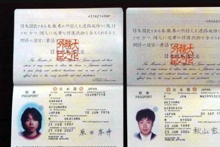 办护照理由是什么