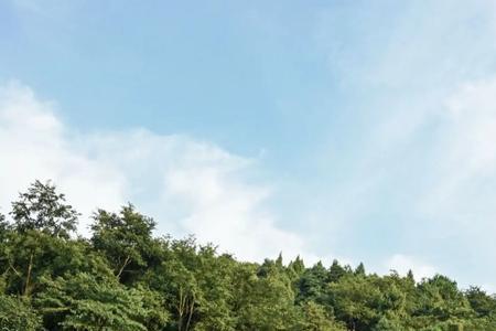 重庆园博园可以露营吗