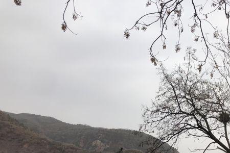 两离桑梓什么意思
