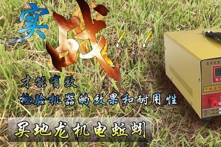 蚯蚓春夏秋冬在干嘛
