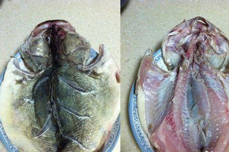 熟臭鳜鱼如何加热