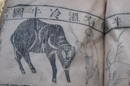 古代牛马经原文