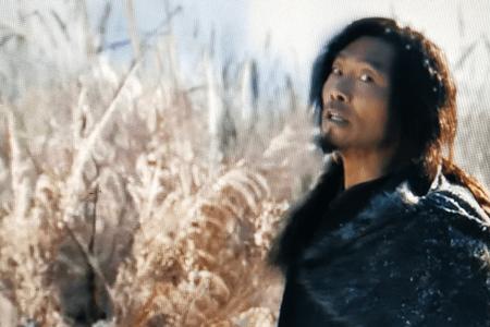 塞外宝藏主演
