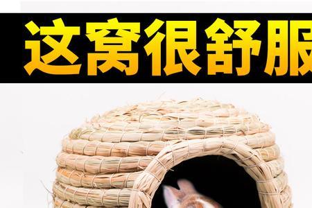 兔子拉窝干啥