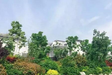 洛阳建业桂园属于什么档次