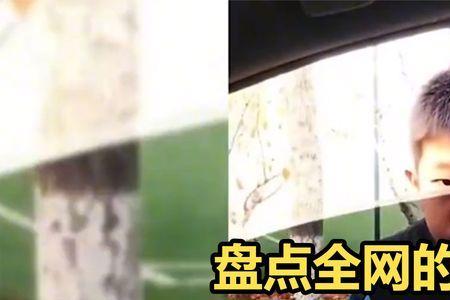 孝子怕父不良什么意思