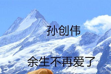 余生不再爱是什么意思