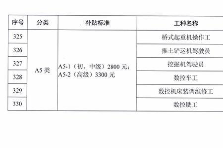 技能补贴工种子项如何填写