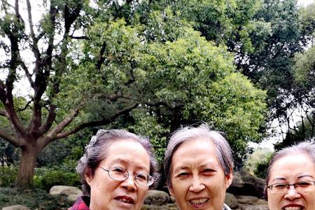 98年邹家3兄妹结局