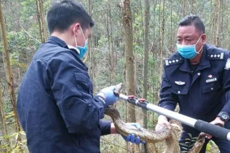 广西钦州有什么野生动物